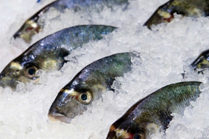19.7 درصد مردم در یک سال گذشته چند روز در هفته ماهی مصرف کرده اند