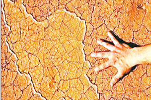 معاون فرهنگی جهاددانشگاهی خبر داد: آگاهی 67.7 درصدی مردم ایران از بحران آب