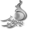 اجرای طرح دیدگاه بازیکنان درخصوص بازی های رایانه ای