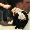 اجرای طرح نظرسنجی بررسی مسائل و مشکلات خانواده های ایرانی